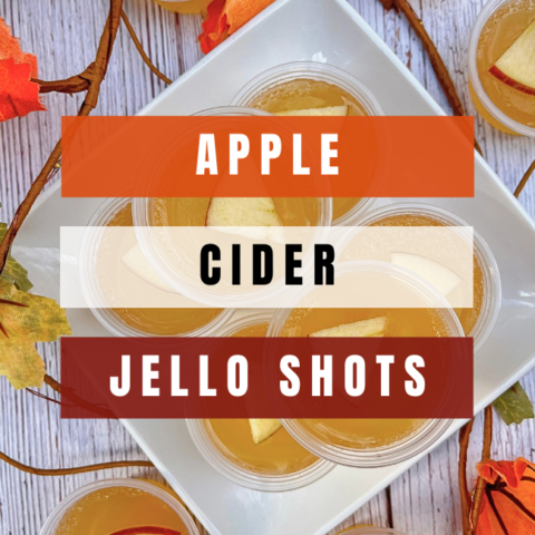 Apple Cider Gelatine Shots!