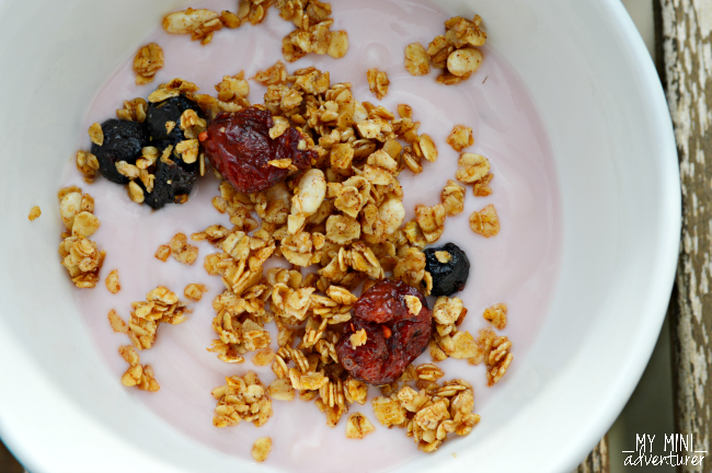 granola with yogurt