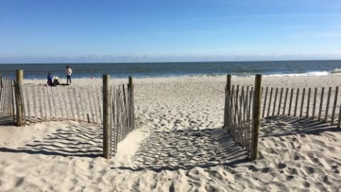 Image for 10 Ways to Boost Child Development at the Beach