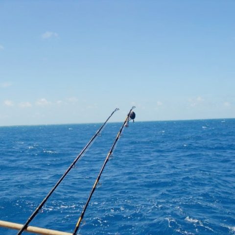 Image for Florida Fishing Destinations
