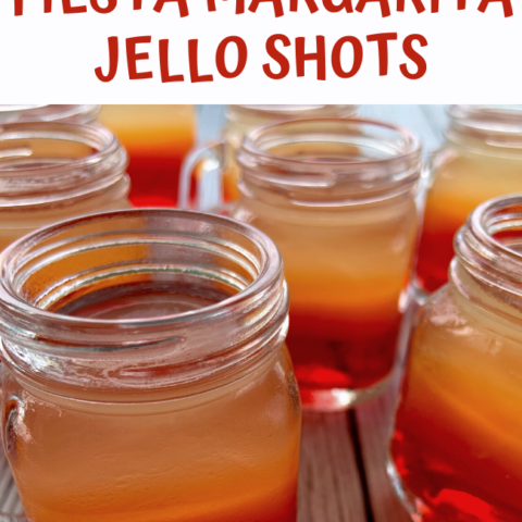 Fiesta Margarita Jello Shots