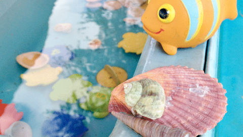 Image for Water Fun with Babies and Toddlers